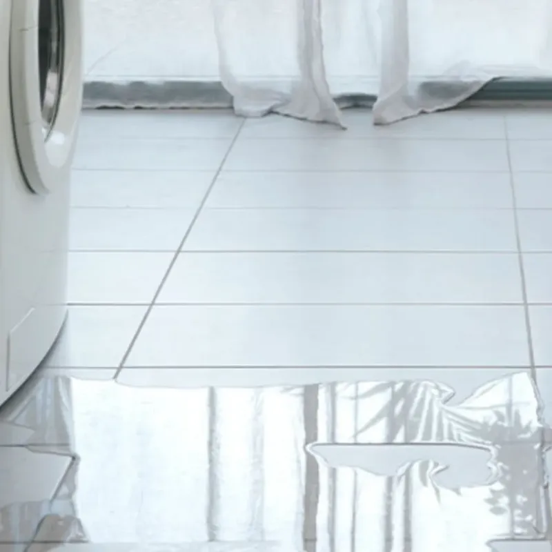 Appliance Leak Cleanup in Washington, VT