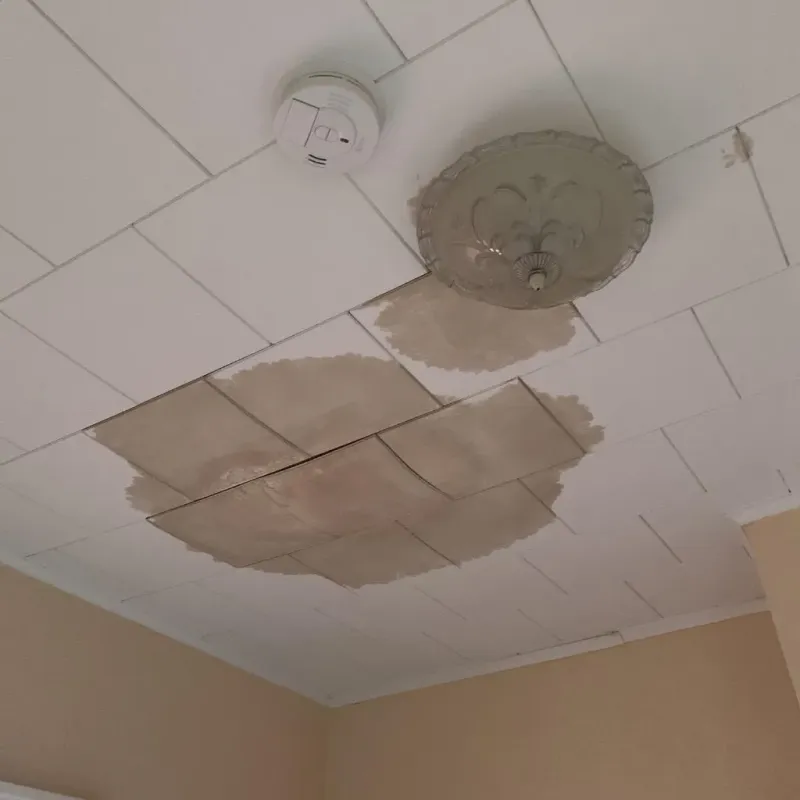 Ceiling Water Damage Repair in Washington, VT