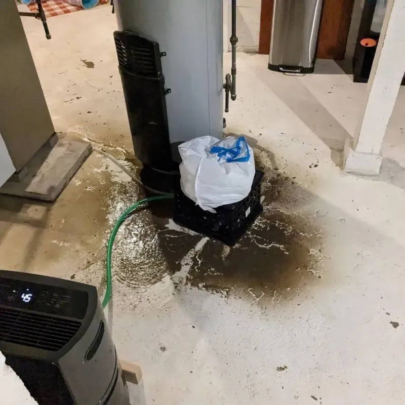 Sewage Backup Cleanup Service in Washington, VT